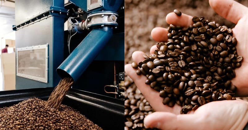 Brewing Methods For Roasted Coffee