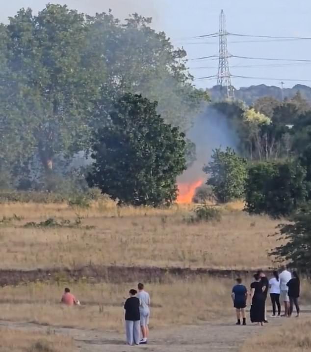 Firefighter Craig Fenner said: 'Firefighters worked extremely hard to prevent the fire from spreading to nearby properties'. Pictured: the scene of the blaze in Dagenham yesterday